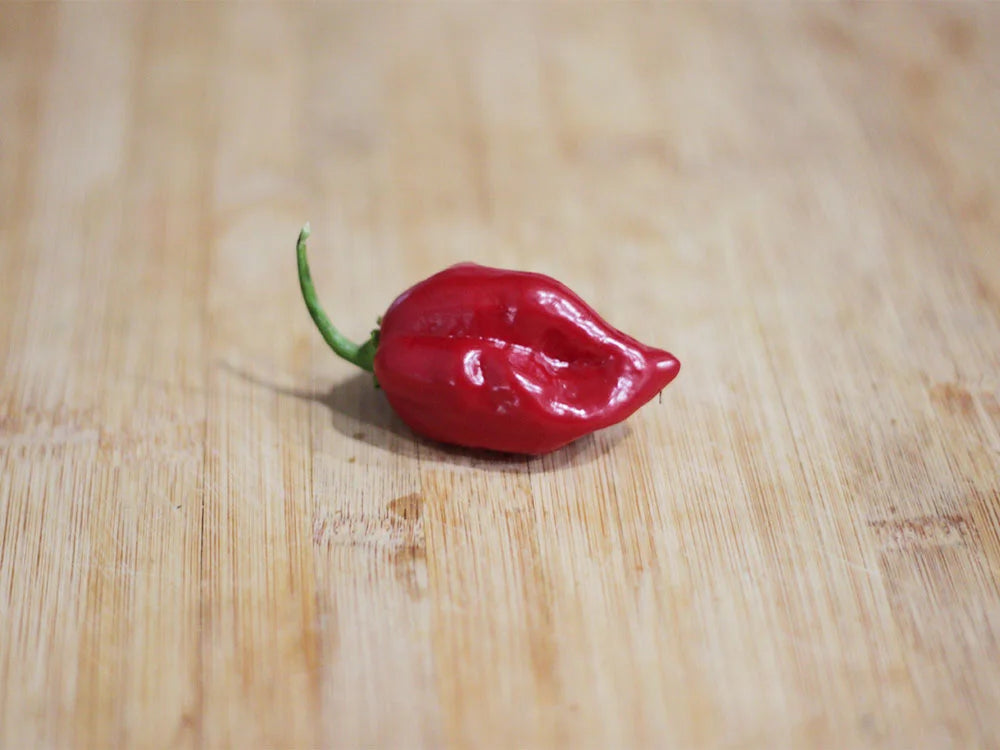 Red Habanero Pepper Seeds: Grow the Heat You Seek