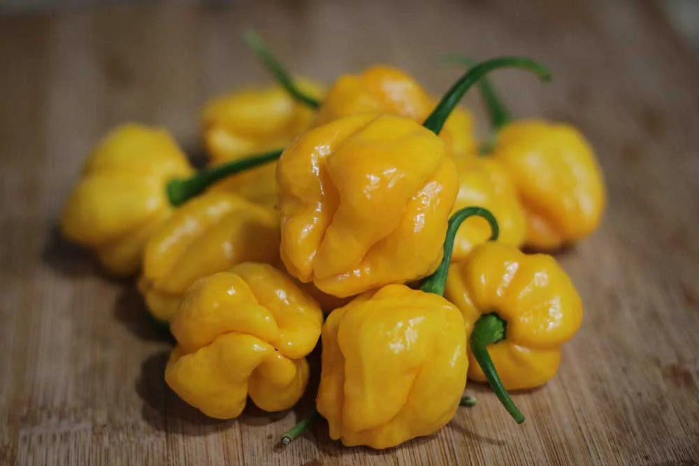 Scotch Bonnet Pepper Seeds: Caribbean Heat at Home