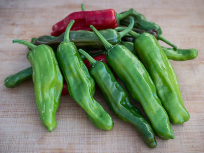 Shishito Pepper Seeds: Unleash Delightful Culinary Versatility