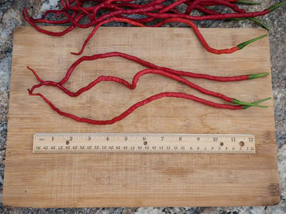 Thunder Mountain Longhorn Pepper Seeds: Grow Spicy Drama