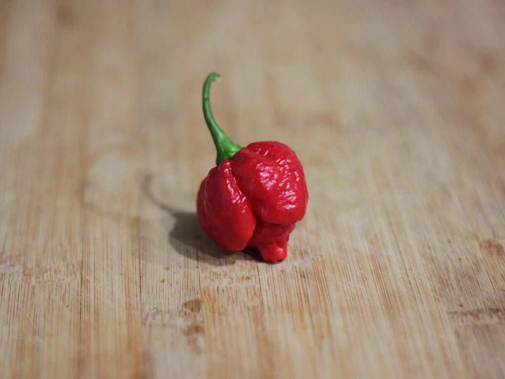 Trinidad Moruga Scorpion Pepper Seeds for Extreme Heat Lovers