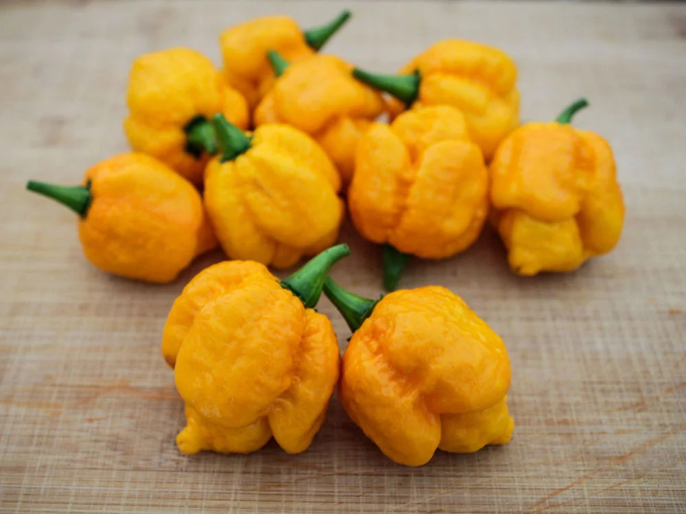 Yellow Moruga Scorpion Pepper Seeds: The Fiery Fruit of Trinidad