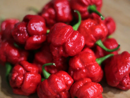 Trinidad Moruga Scorpion Pepper Seeds for Extreme Heat Lovers