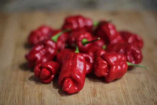 Trinidad Sweet Pepper Seeds: Savor Caribbean Flavors