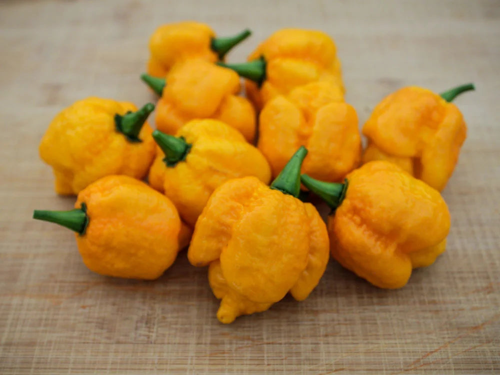 Yellow Moruga Scorpion Pepper Seeds: The Fiery Fruit of Trinidad