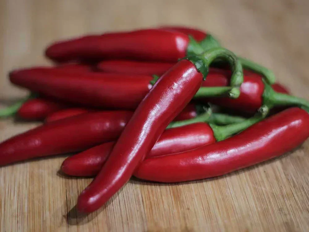 A Complete Guide to the Gochugaru Pepper (The Korean Chili)