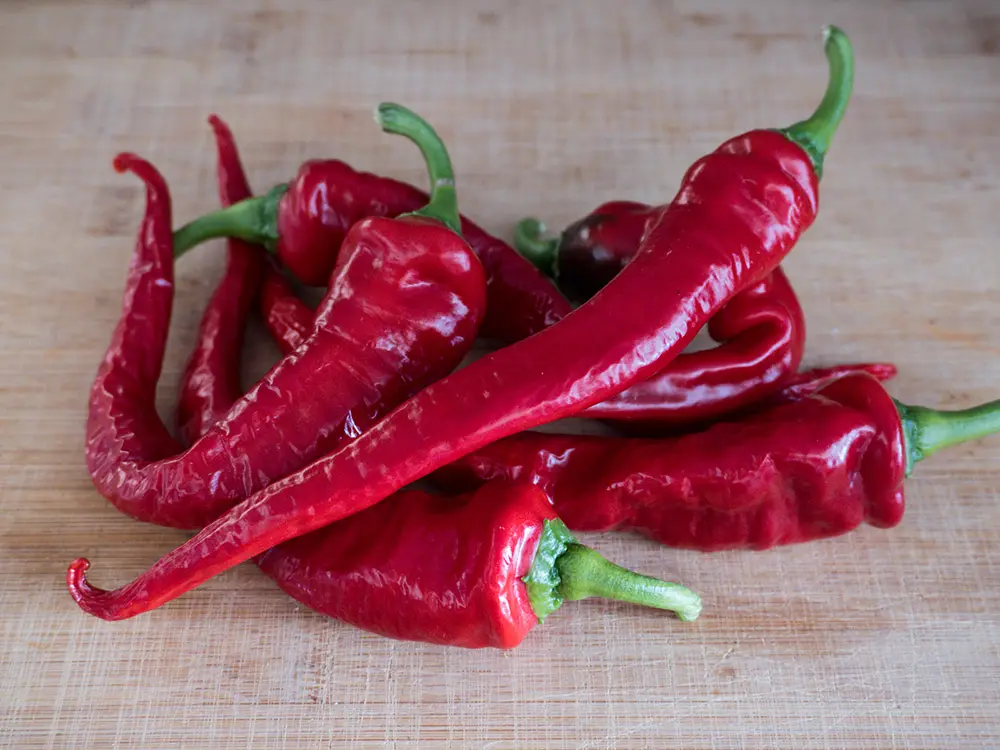 Hot Portugal Pepper: A Grower's Guide to this Fiery & Flavorful Heirloom