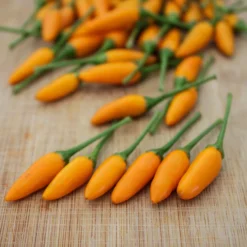 african-yellow-pequin-pepper-seeds