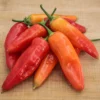 aji-amarillo-pepper-seeds
