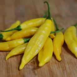 aji-lemon-pepper-seeds