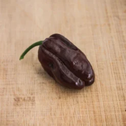 brown-chocolate-habanero-pepper-seeds