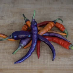 buena-mulata-pepper-seeds