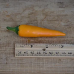 bulgarian-carrot-pepper