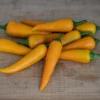 bulgarian-carrot-pepper-seeds