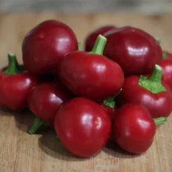 calabrian-calabrese-pepper-seeds