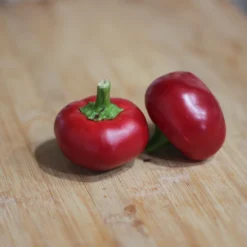 calabrian-calabrese-peppers-seeds