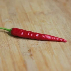 cayenne-long-slim-pepper-seeds