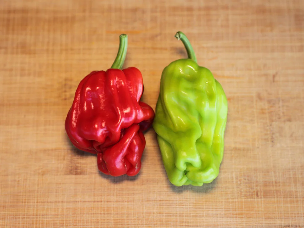 dragon-toe-pepper-seeds-red-green