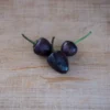 filius-blue-pepper-seeds