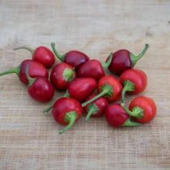 filius-blue-peppers-red