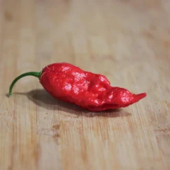 ghost-pepper