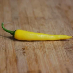 golden-yellow-cayenne-pepper-seeds