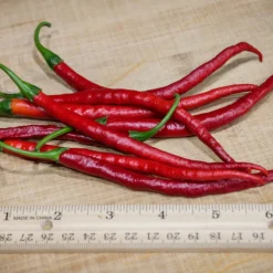 gong-bao-asian-peppers