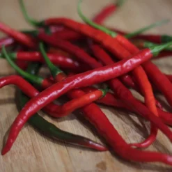 gong-bao-pepper-seeds