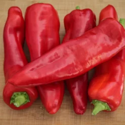 heirloom-aconcagua-pepper-seeds