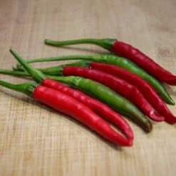 japanese-santaka-chili-pepper-seeds