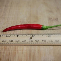 japones-santaka-chili-pepper-seeds