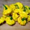 kang-star-lemon-starburst-ksls-pepper-seeds