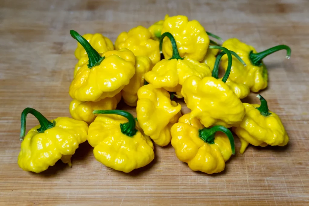 KSLS (Kang Star Lemon Starburst) Pepper Seeds - Rare Superhot Variety