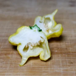 kang-star-lemon-starburst-ksls-pepper-sliced