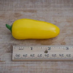 lemon-spice-jalapeno-pepper