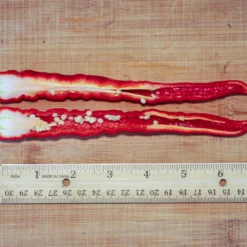 maules-red-hot-pepper-seeds-split