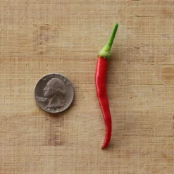 medusa-pepper-seeds-sweet-ornamental