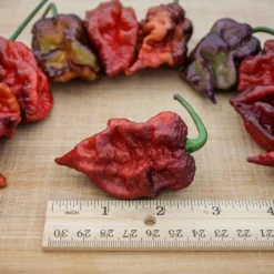 multicolor-orion-pepper-seeds