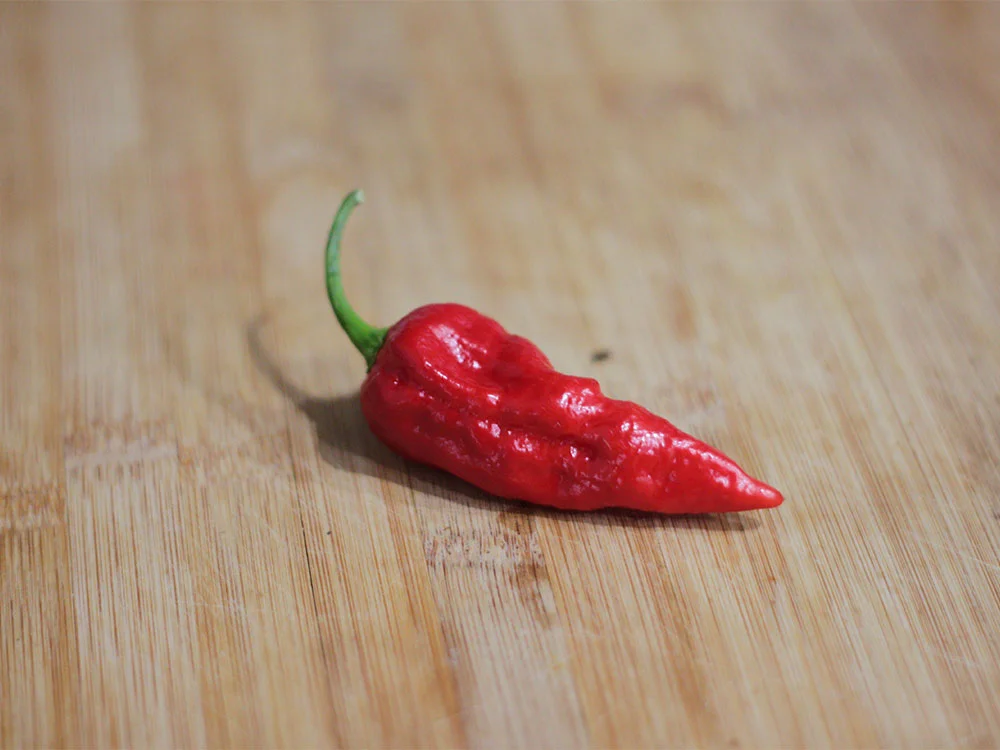 naga-morich-pepper