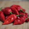 naga-morich-peppers