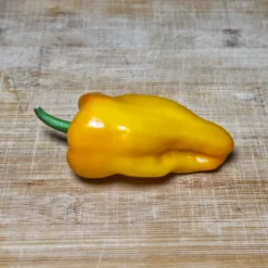petit-marseillais-pepper-seeds-single