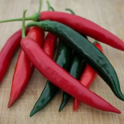 prik-chi-faa-pepper-seeds