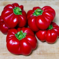 ralph-thompsons-squash-pepper-seeds