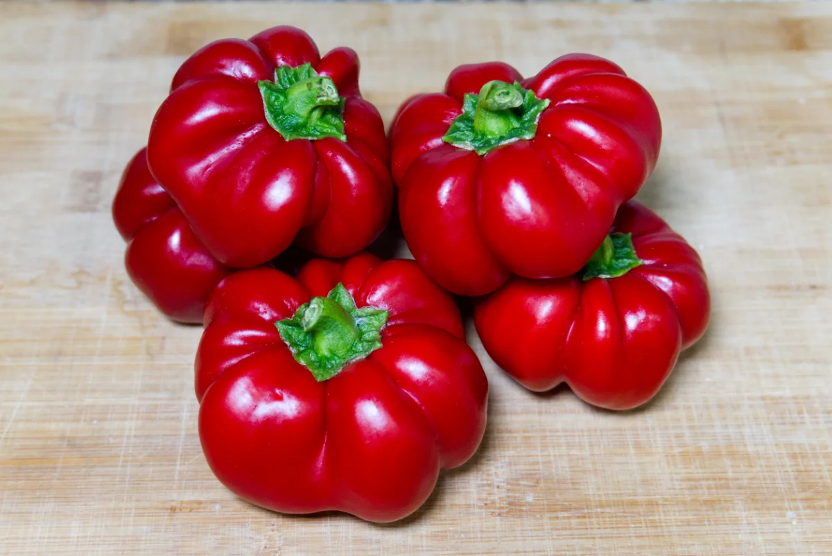 ralph-thompsons-squash-pepper-seeds