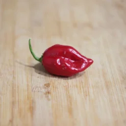 red-habanero-pepper