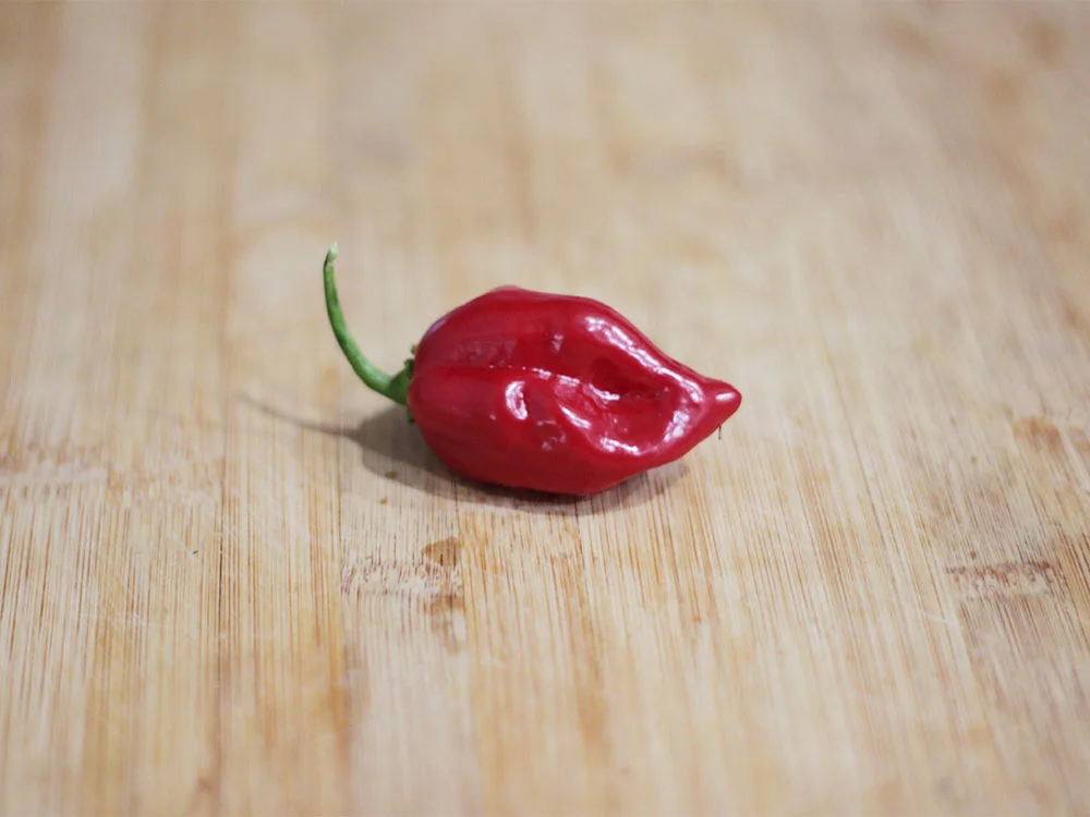 red-habanero-pepper