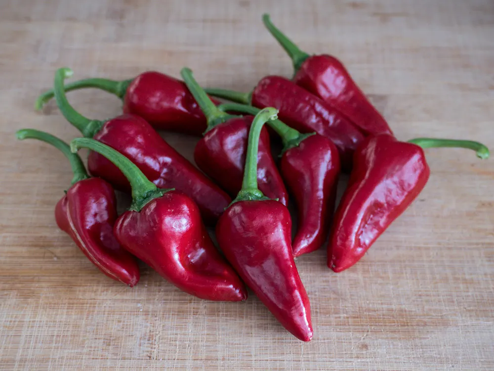 san-felipe-pepper-seeds