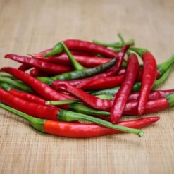 santaka-chili-pepper-seeds