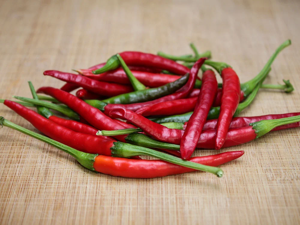 santaka-chili-pepper-seeds