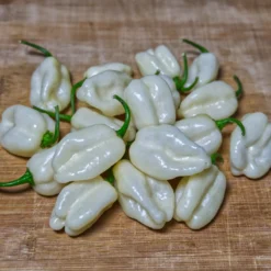 snow-white-pepper-seeds